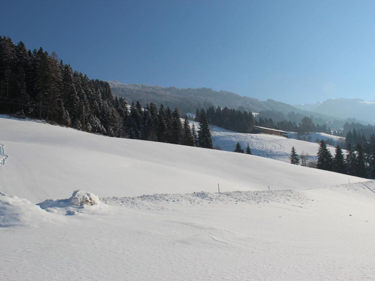 Apartment Eberharter-1 By Interhome Hart im Zillertal Εξωτερικό φωτογραφία